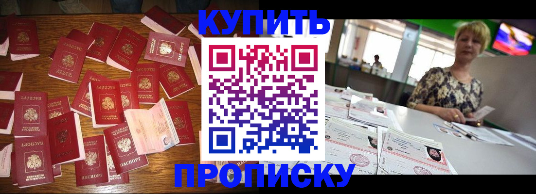 прописка в Камышине